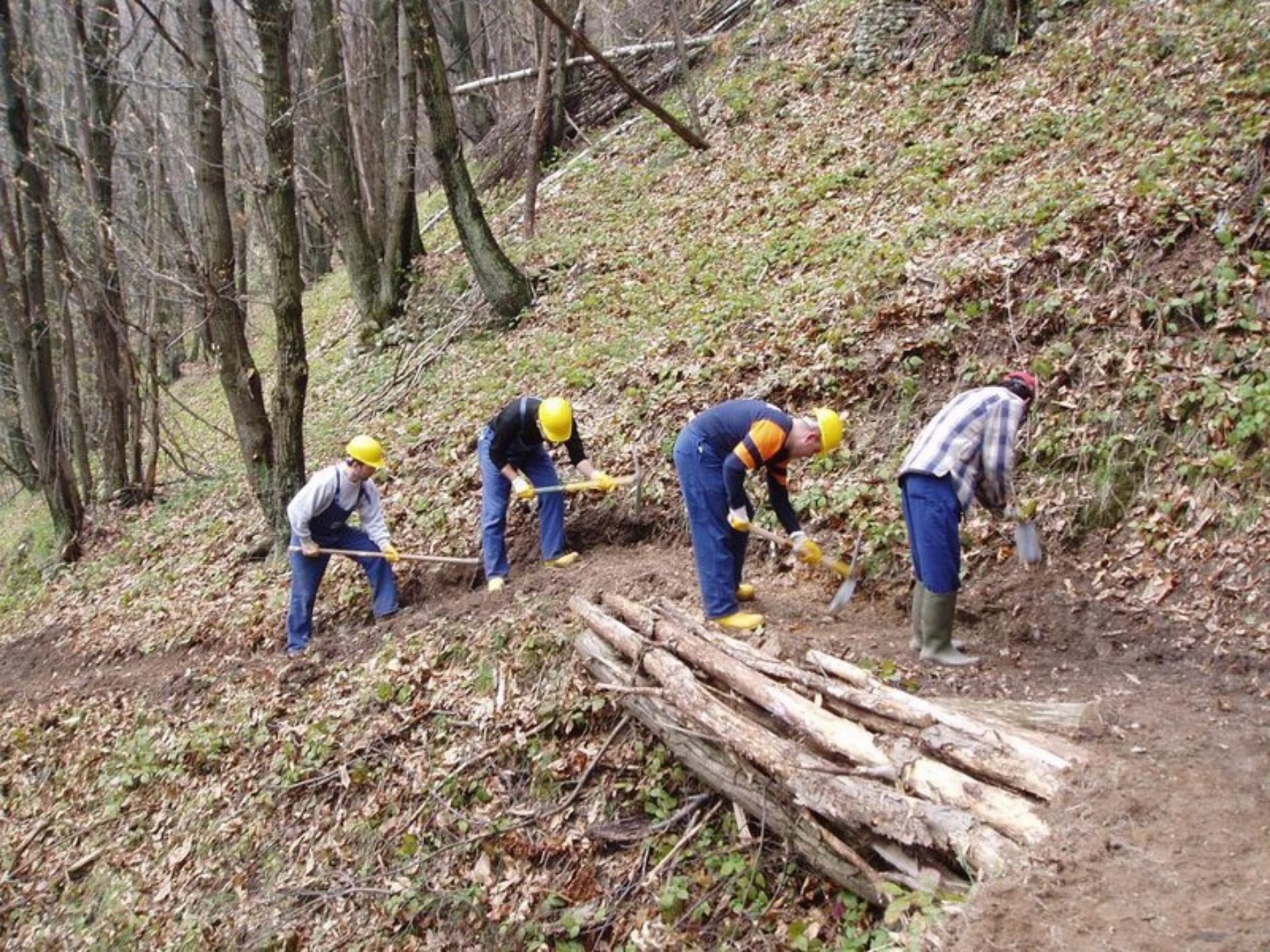 Arriva la chiamata per 631 forestali operai al lavoro da lunedì 13 aprile