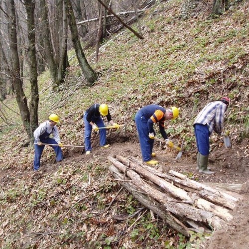 Discriminati cantieri forestali di Pietraperzia e Barrafranca. Incisivo interevento della UIL