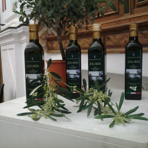 Aidone. Il Morgantinon d’oro 2015 degli oli extravergini d’oliva siciliani va ad un’azienda siracusana