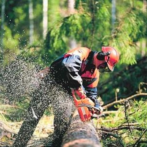 Non c’è pace per i lavoratori forestali, è arrivata la sospensione