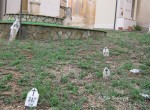 IMG_1116 (2)