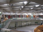 IMG_6139