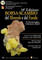 38a-borsa-scambio-del-minerale-e-del-fossile