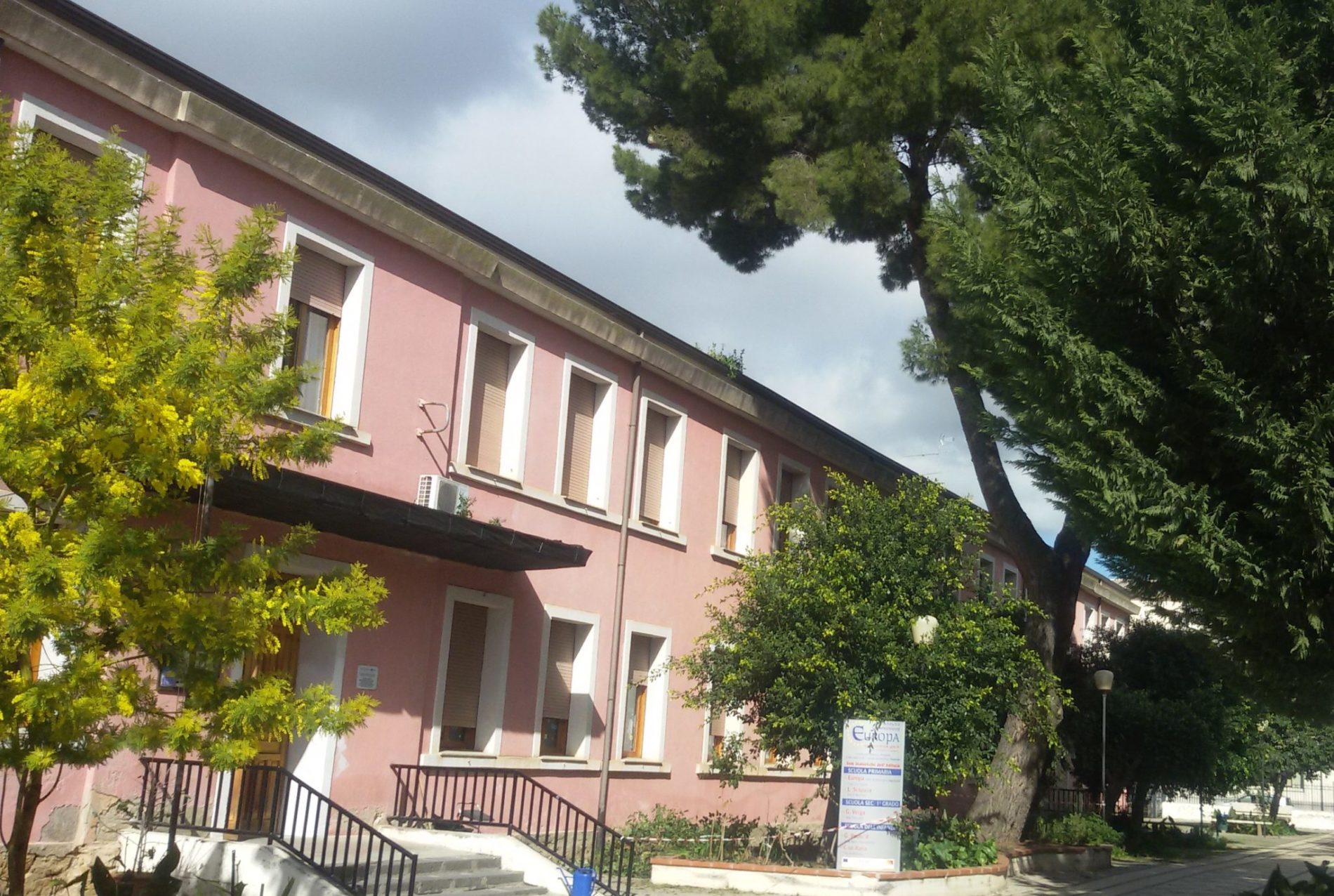 Barrafranca, La processionaria, si ripresenta a due anni dalla rimozione