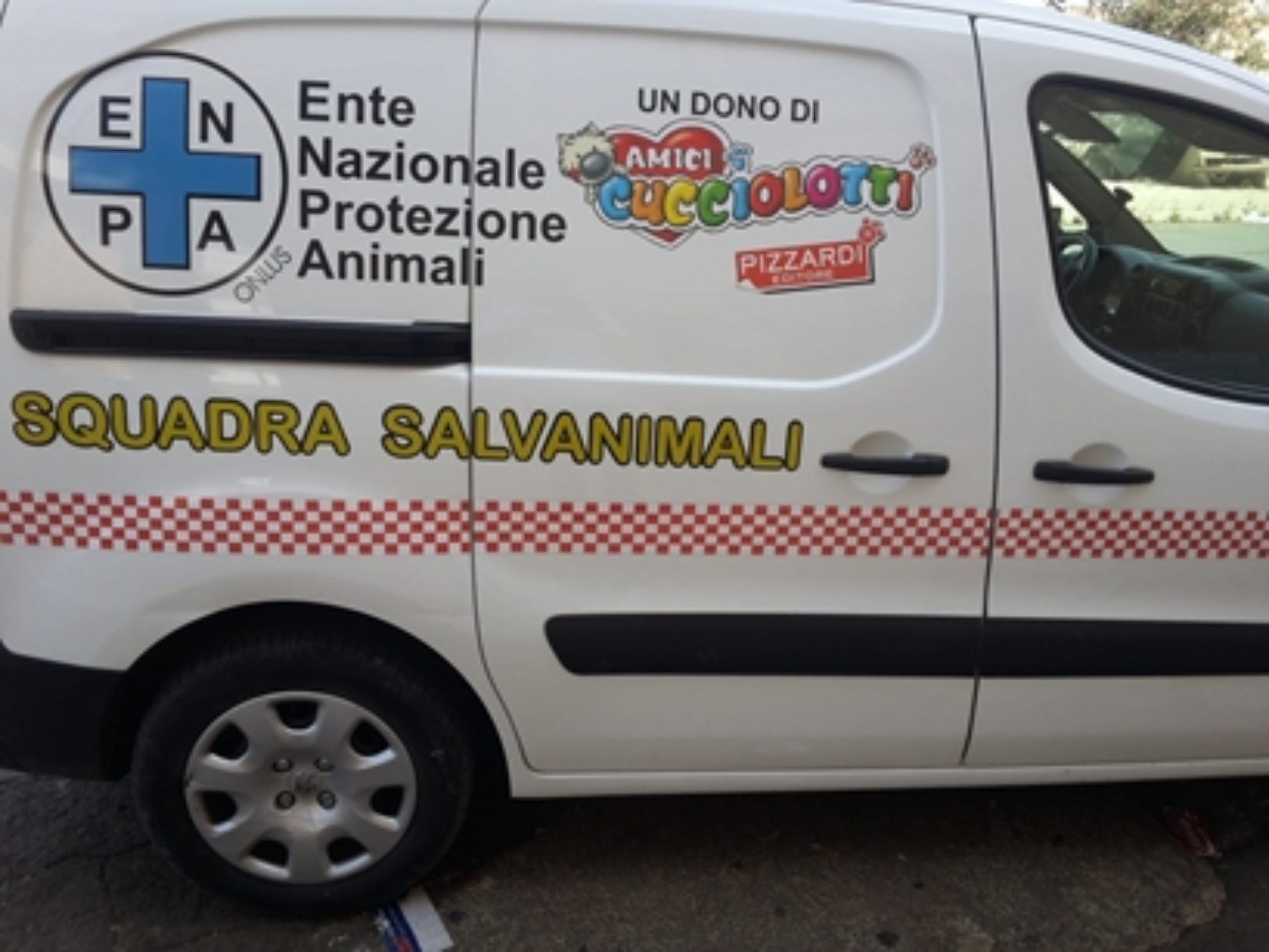 Adotta un cucciolo, da Domenica presso la Villa Comunale Francesco Ferreri