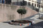 Inaugurazione del pannello NOI LEALI presso la scuola G. Verga