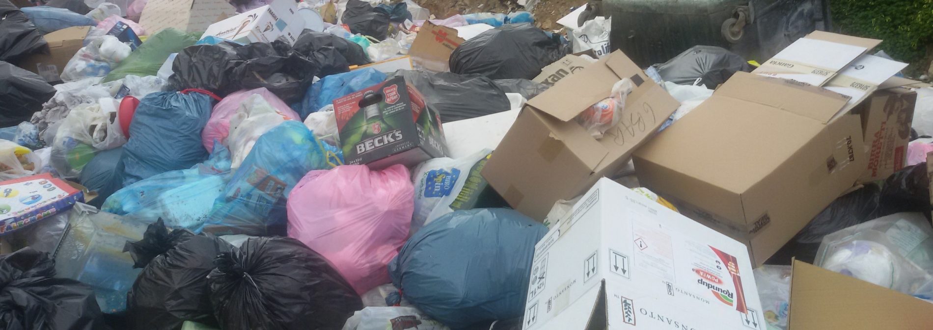 Da undici mesi senza stipendio minacciano di lanciarsi nel vuoto dalle finestre degli uffici