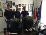 sequestro marijuana A 19 polizia
