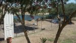 villa comunale canile