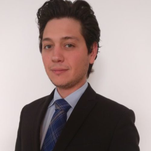 Il giovane Giuseppe Piazza nel direttivo provinciale del movimento “Diventerà Bellissima”