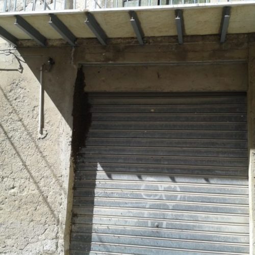 Un “grappolo” di api in via Trieste rimosso da un apicoltore pietrino