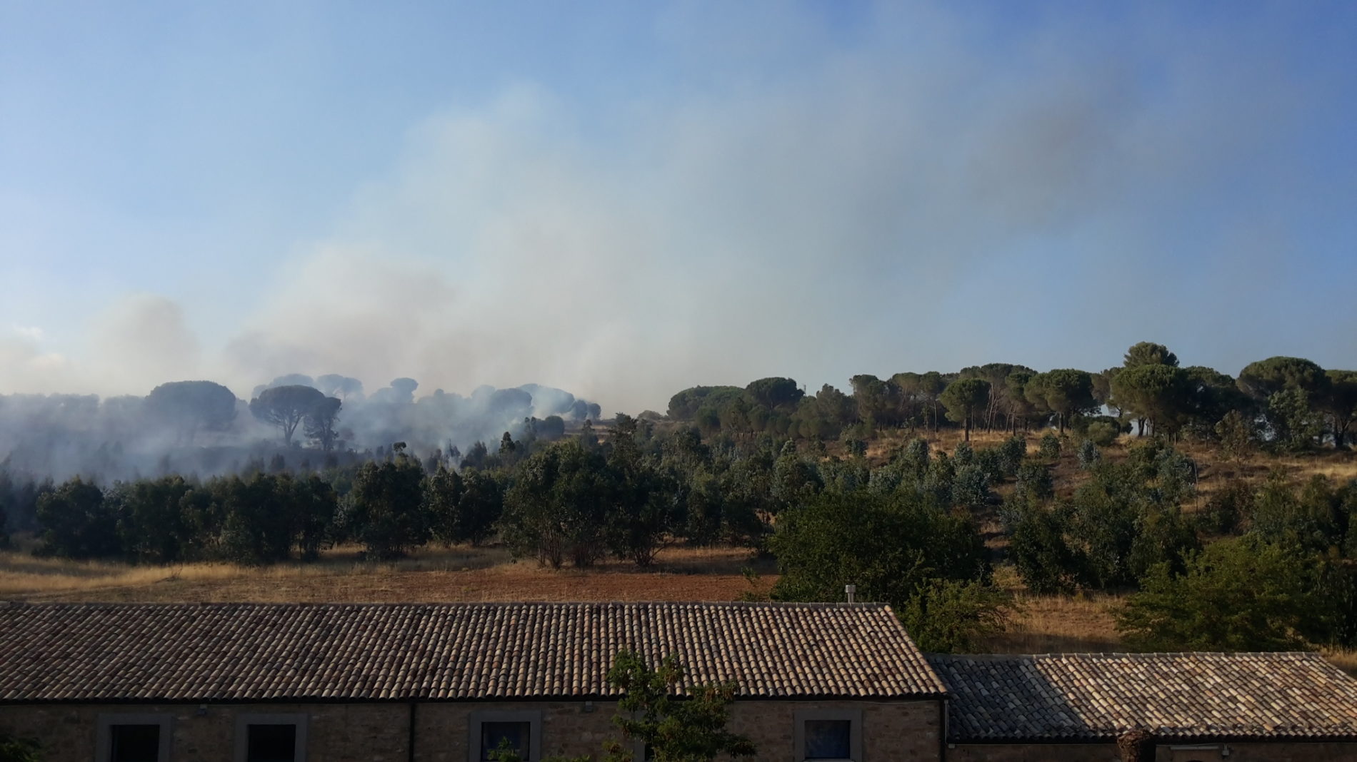 Incendio di vaste propozioni a Montagna Gebbia in territorio di Piazza Armerina