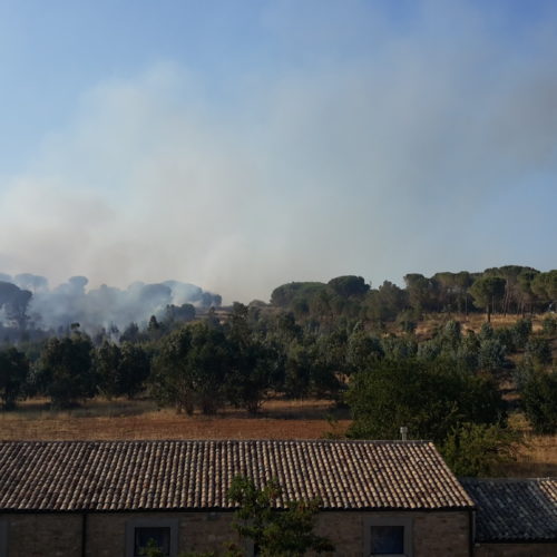 Incendio di vaste propozioni a Montagna Gebbia in territorio di Piazza Armerina
