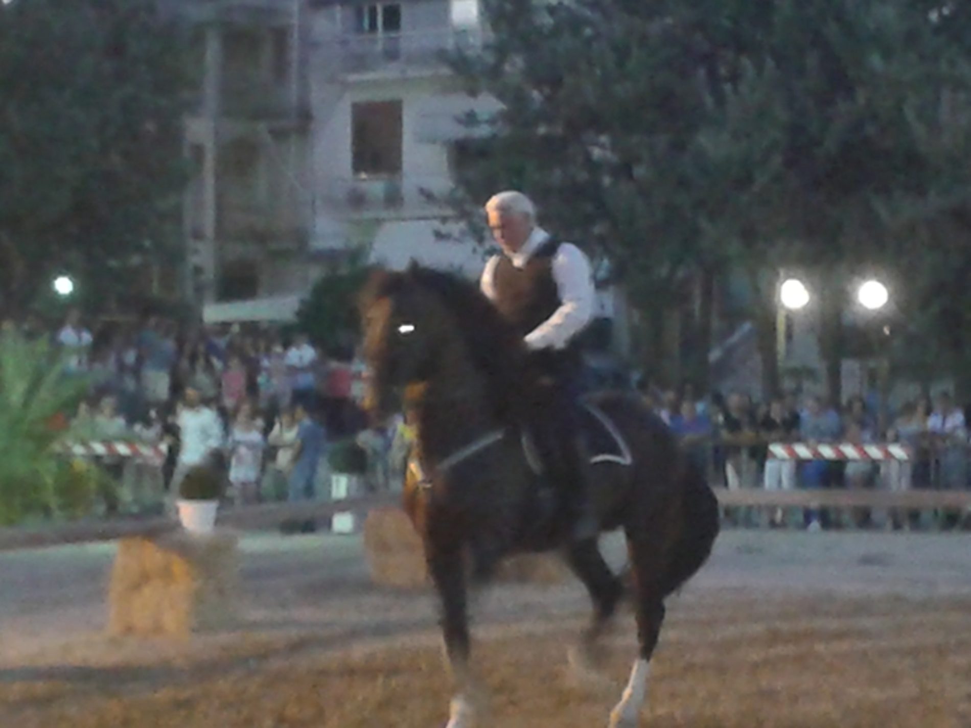 Pietraperzia. Cavalli, amazzoni e fantini alla 3 edizione del “Memorial Lillo Cagno”