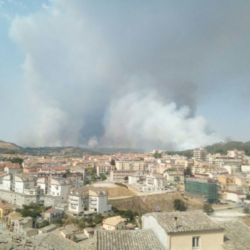 “Amiamo la nostra terra”, la riflessione del vescovo di fronte agli incendi