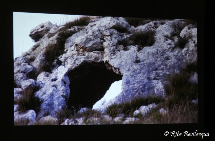Salotto letterario documentario Occhio della Balena Bobò Centonze