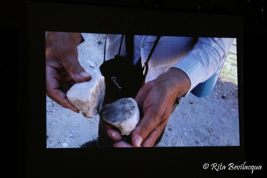Salotto letterario documentario Occhio della Balena Bobò Centonze