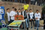 Progetto Crocus scuola Verga
