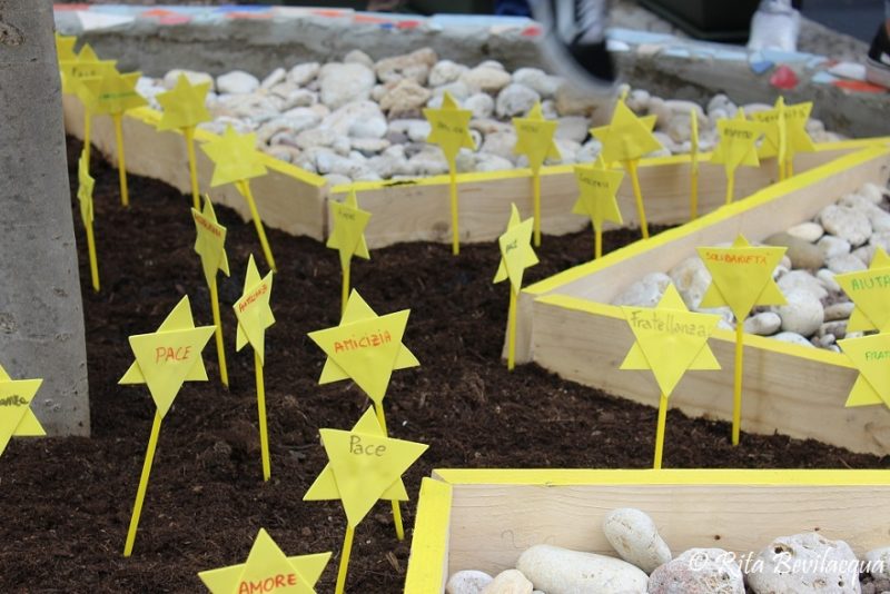 Progetto Crocus scuola Verga