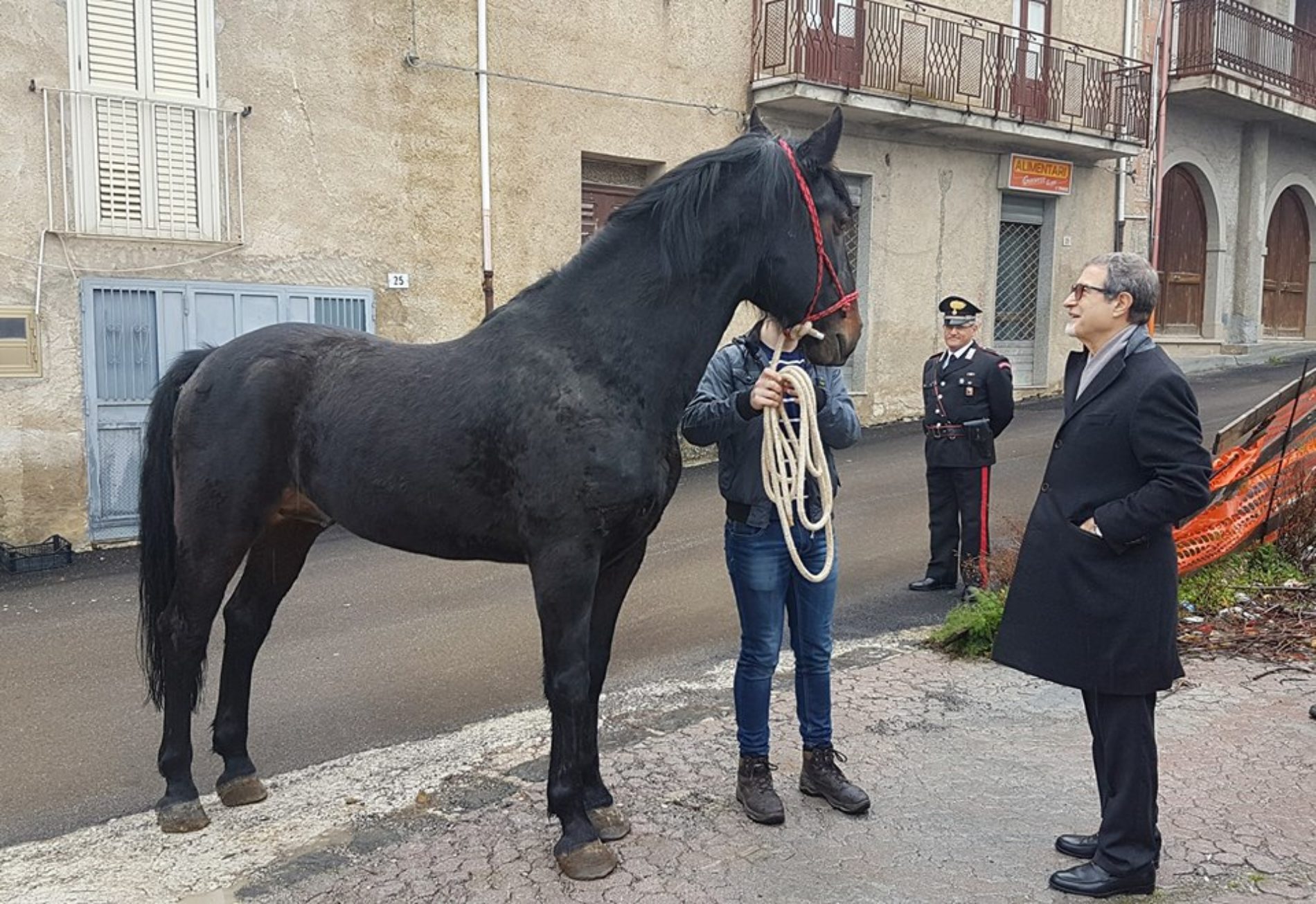 Protocollo d’intesa della Regione per valorizzare il cavallo sanfratellano