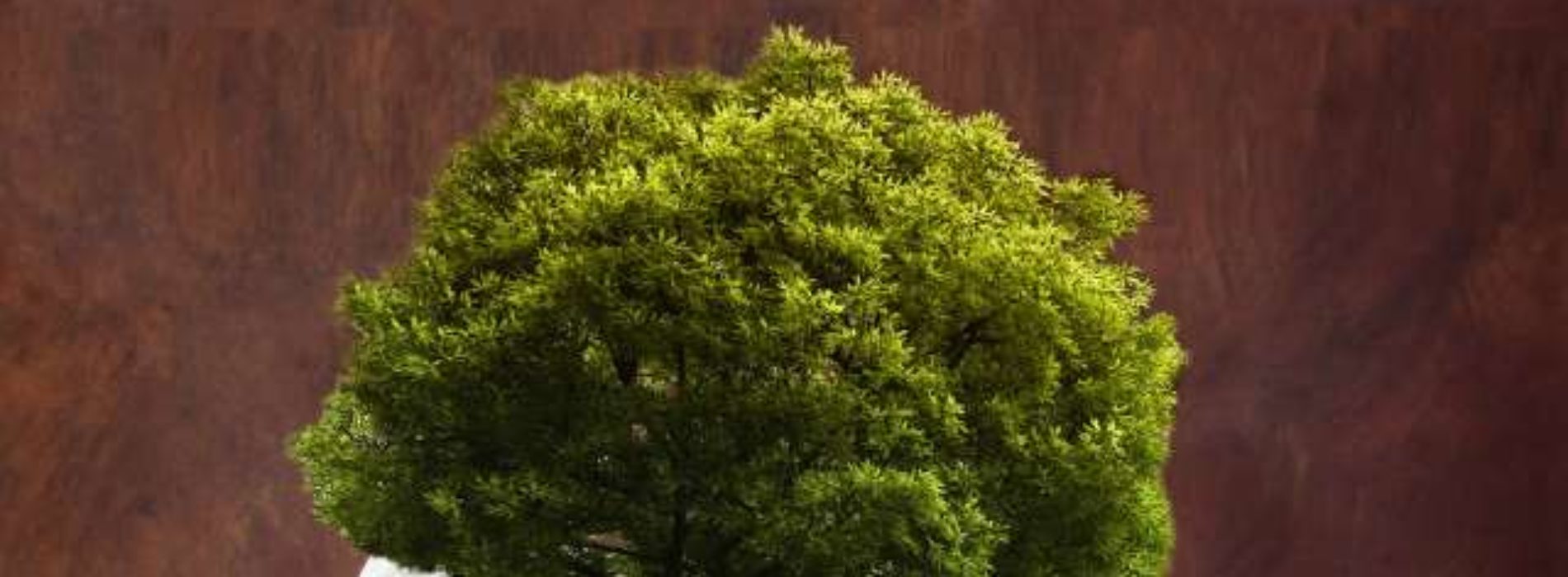 Enna. Importante convegno di UGL Agricoli e Forestali Sicilia