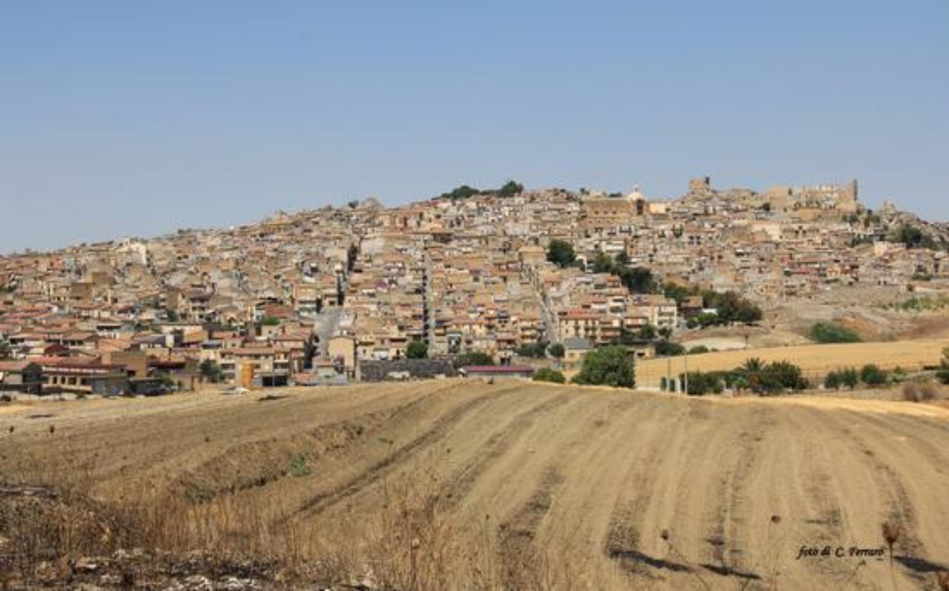 Pietraperzia. IMU terreni agricoli 2014 dovuta
