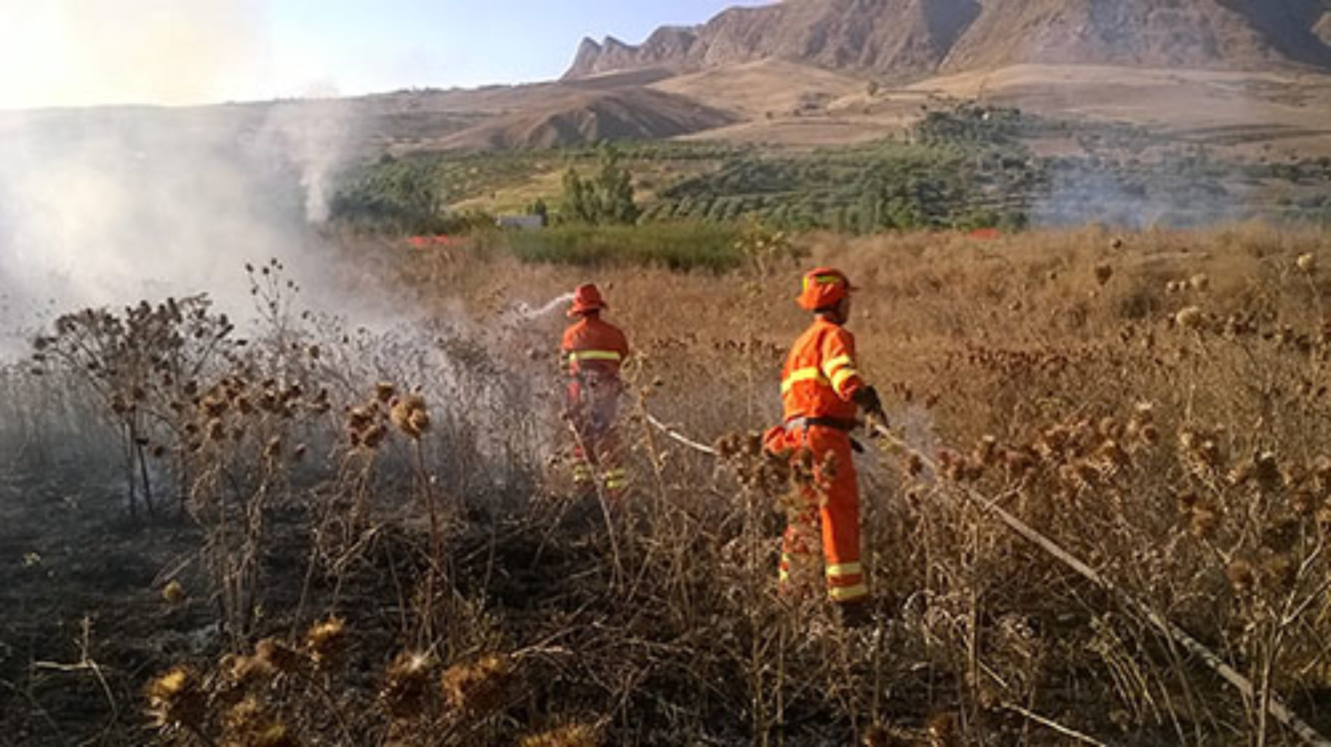 FORESTALI: CAPOSQUADRA NELL’ANTINCENDIO BOSCHIVO – OBBIETTIVO RAGGIUNTO DALL’UGL.