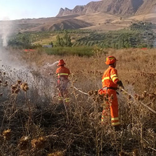 Incendi in Sicilia, dura condanna di UGL Agricoli e Forestali