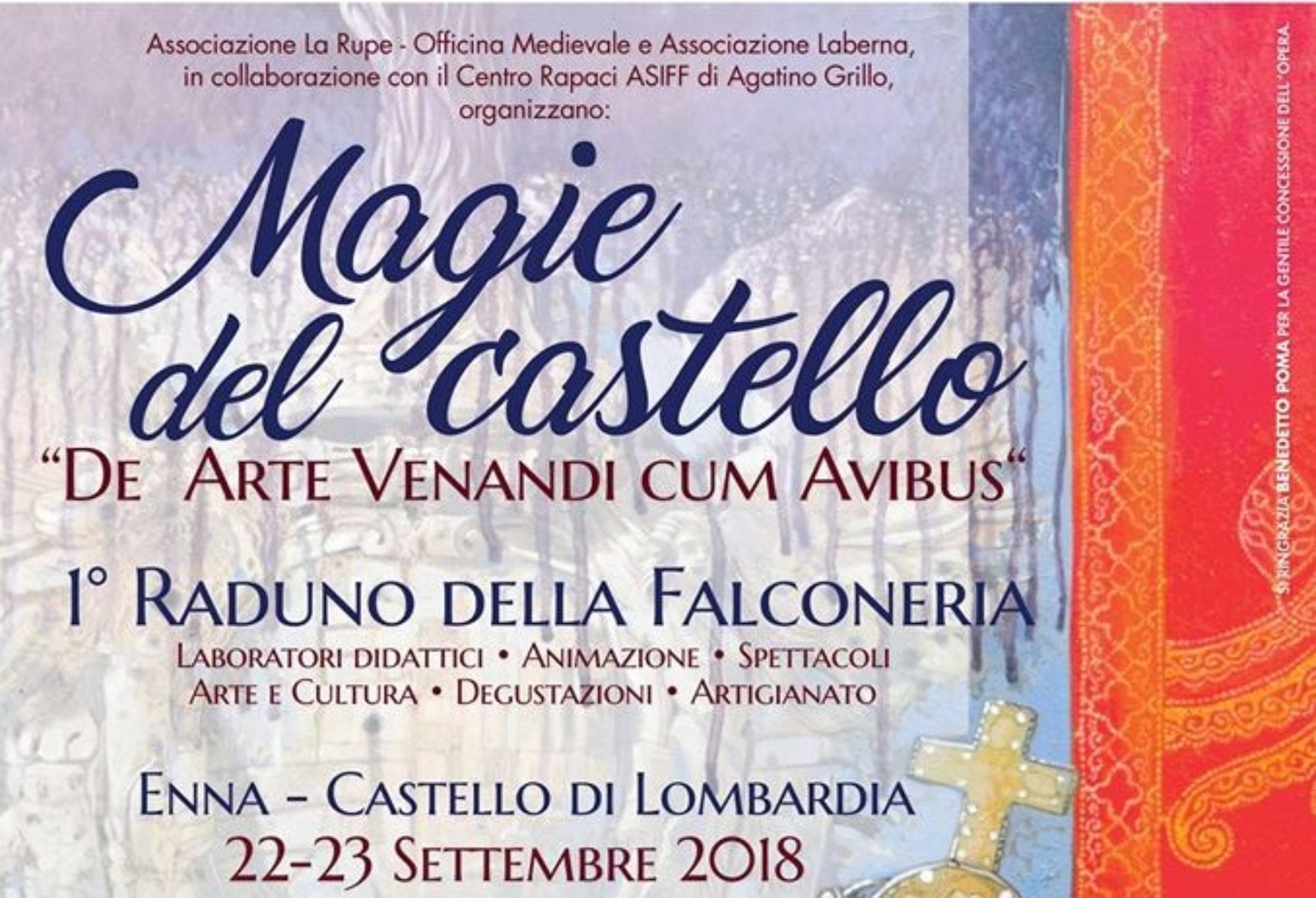 Magie del Castello “De Arte Venandi cum Avibus” 1° Raduno della Falconeria a Enna