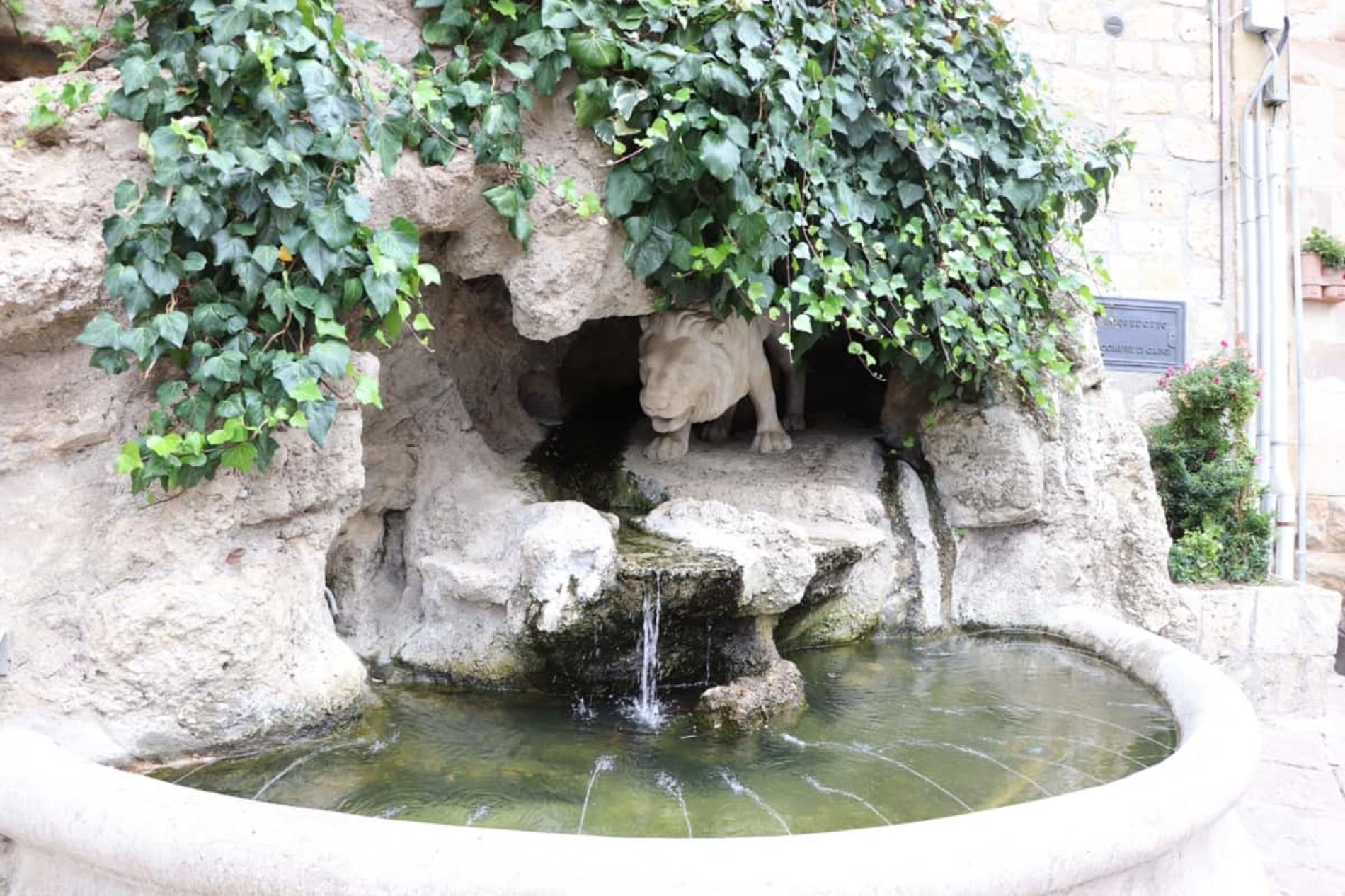 PIETRAPERZIA. Gita culturale Avis nel Palermitano.