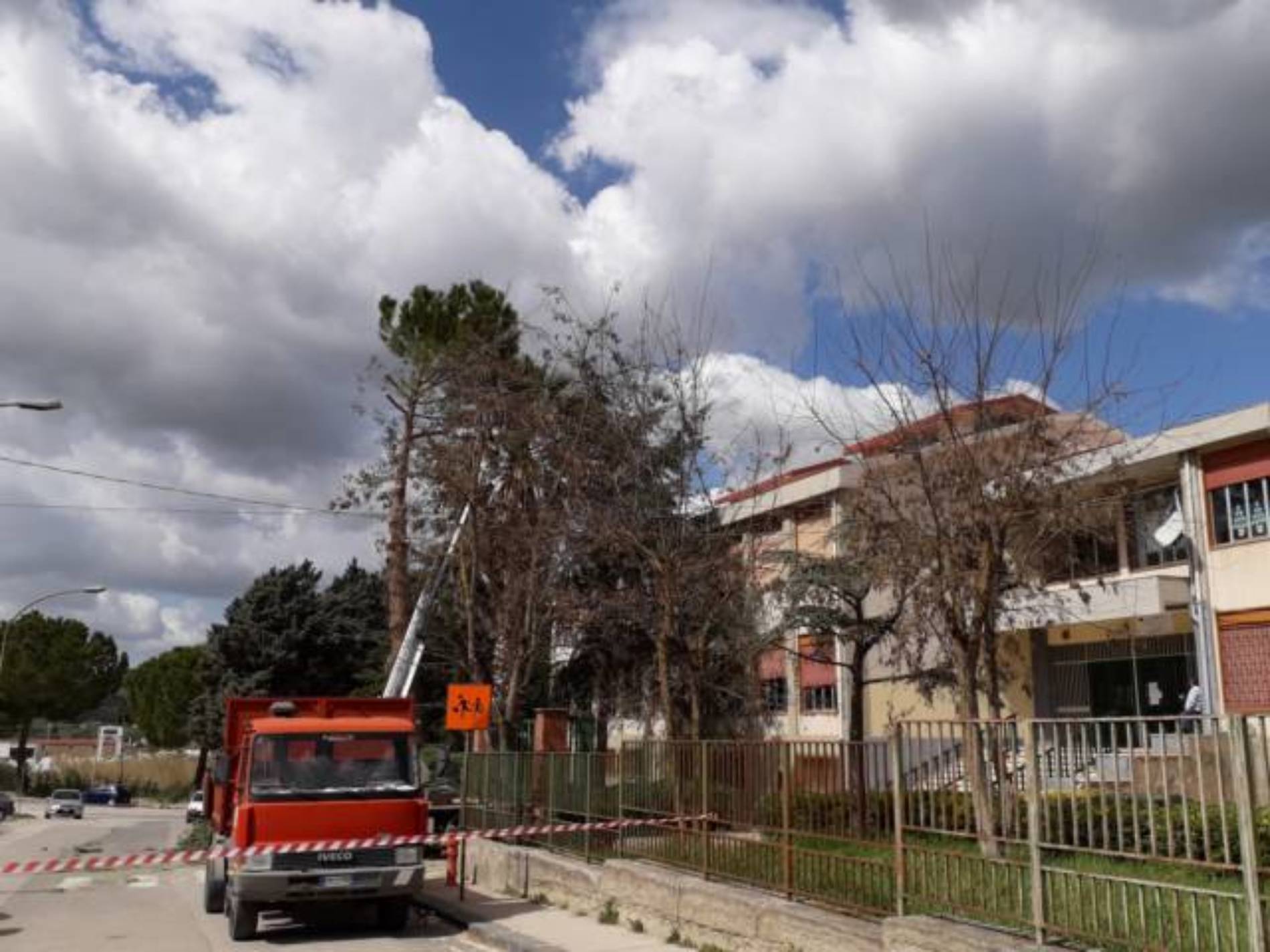 PIETRAPERZIA. Tagliato del tutto, perché pericoloso, uno dei pini del plesso “Verga”.