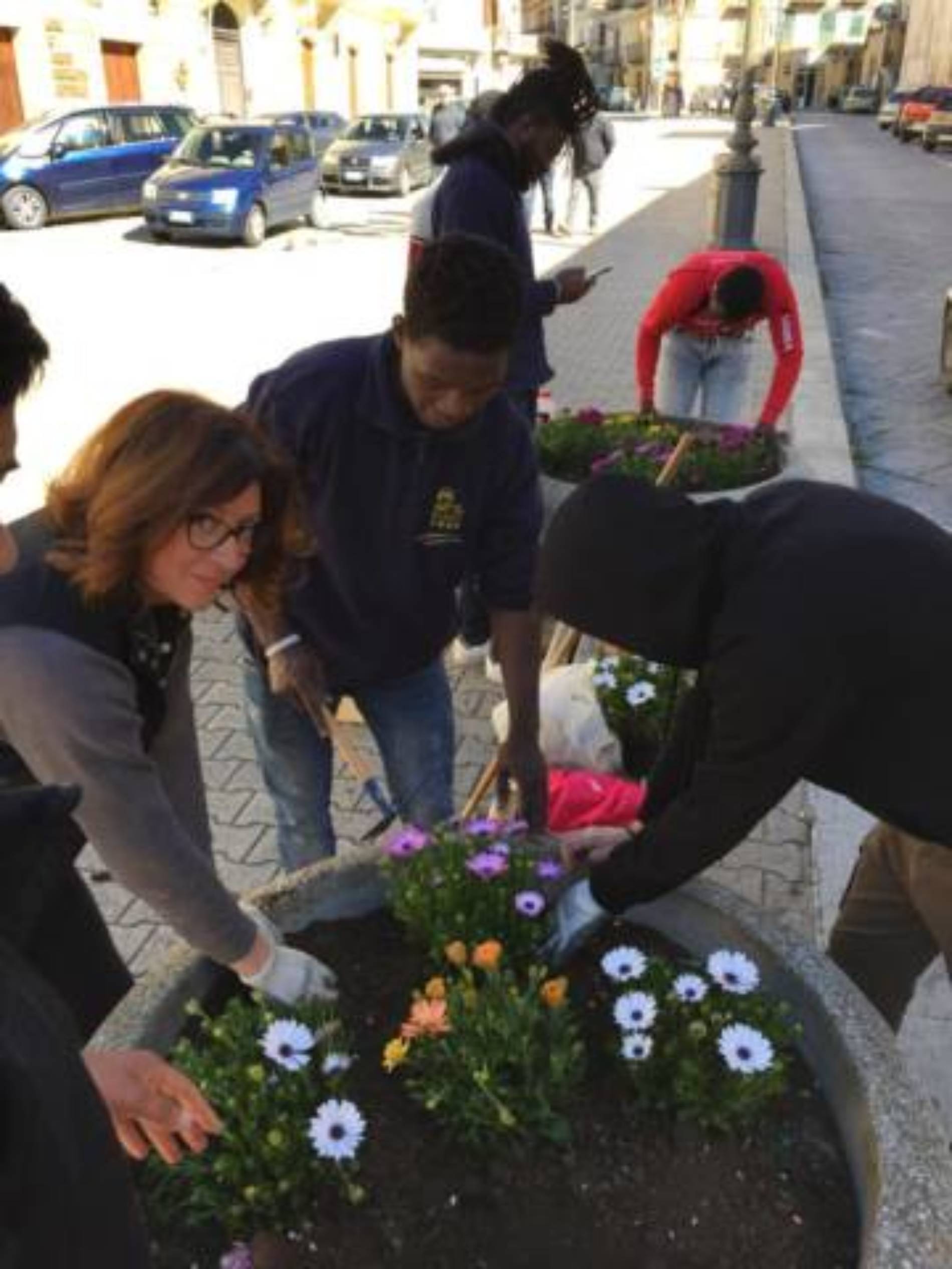 PIETRAPERZIA. Le fioriere di piazza Vittorio Emanuele arricchite con nuovi fiori