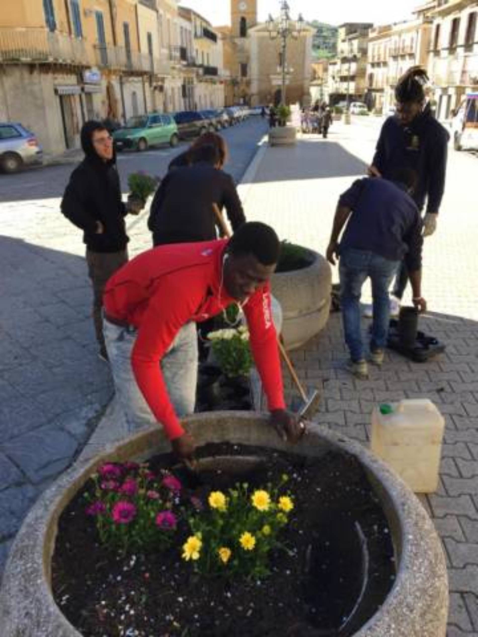 PIETRAPERZIA. Le fioriere di piazza Vittorio Emanuele arricchite con nuovi fiori