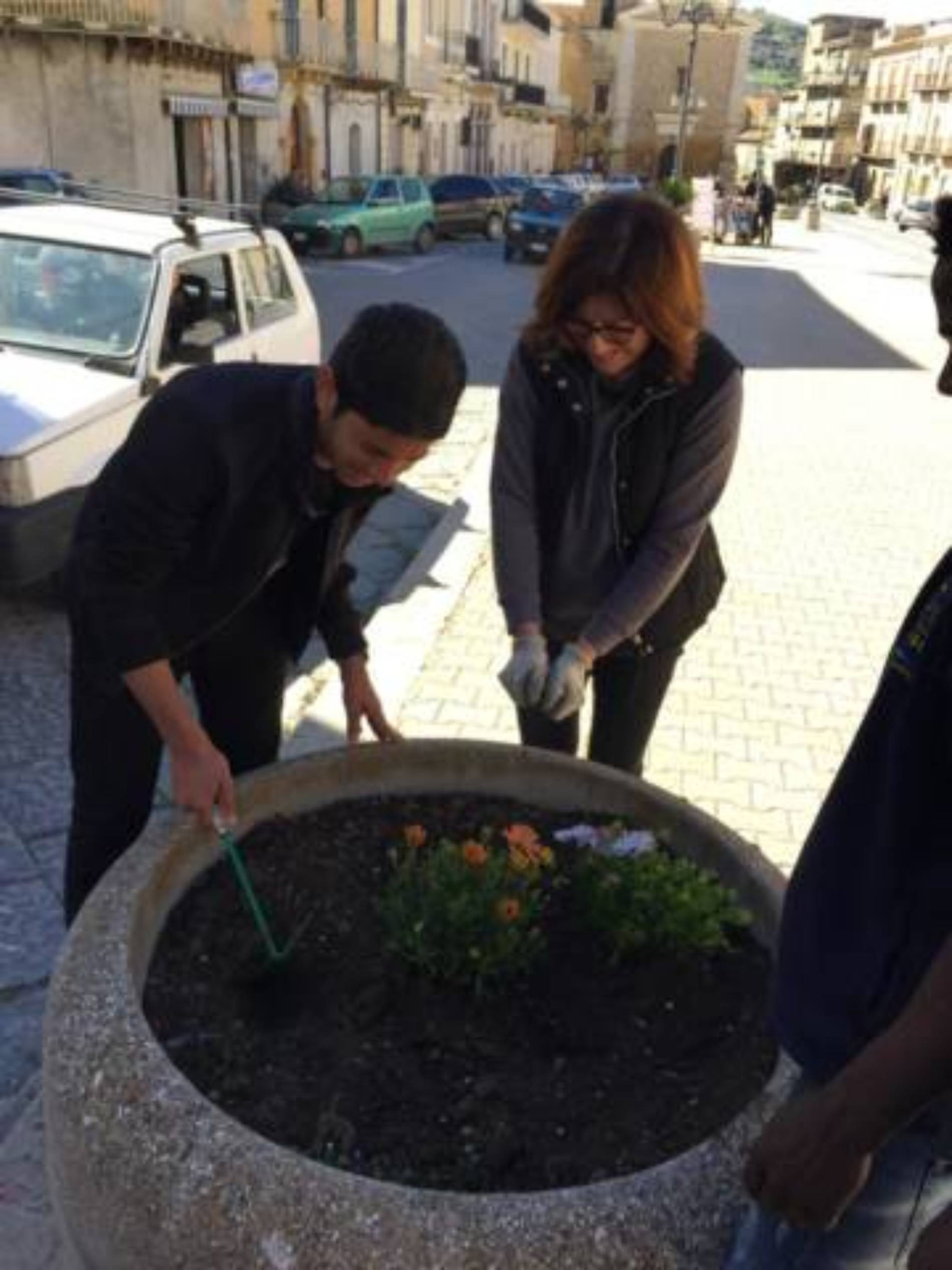 PIETRAPERZIA. Le fioriere di piazza Vittorio Emanuele arricchite con nuovi fiori