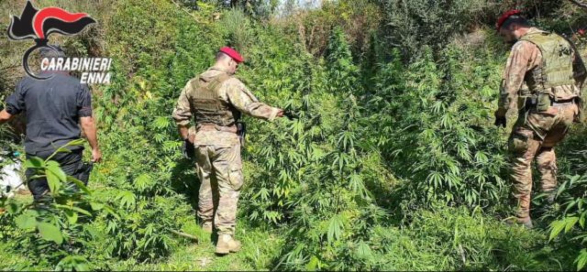 Nicosia (EN) –  Controllo del territorio nelle aree rurali con i Cacciatori di Sicilia