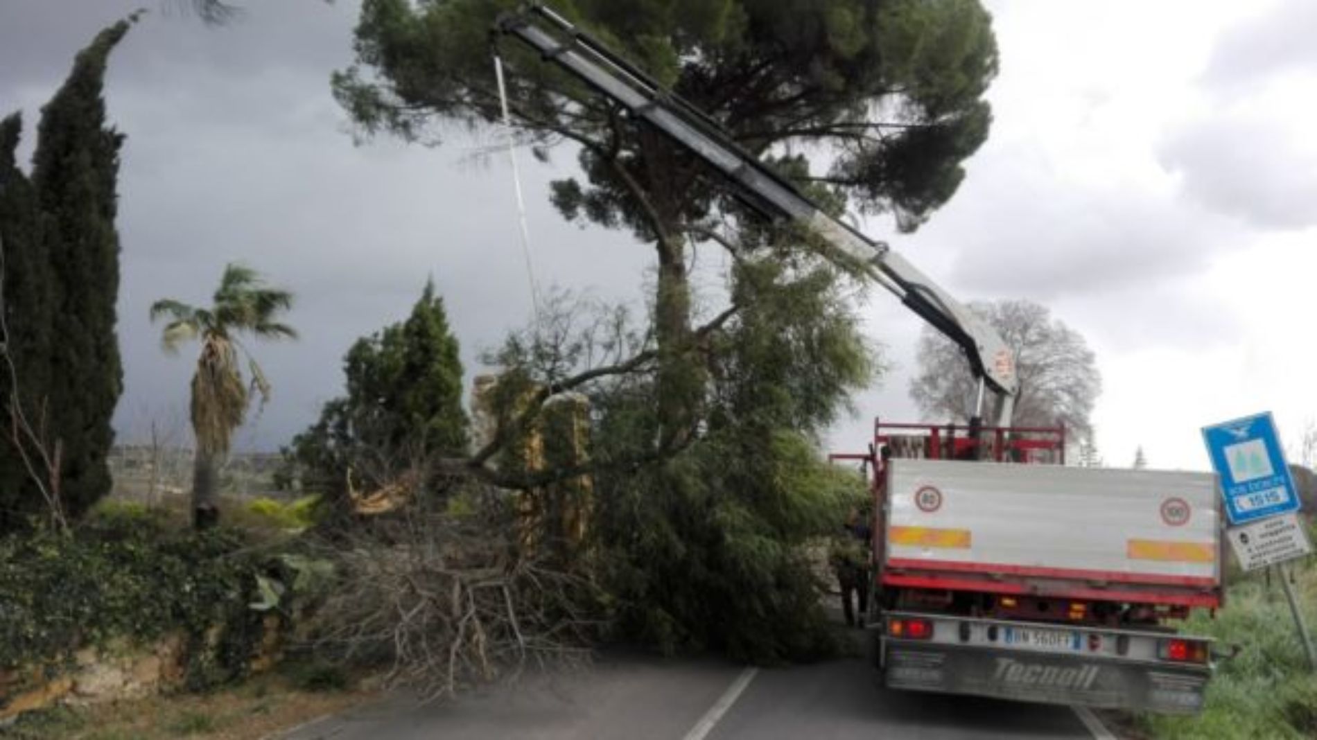 PIETRAPERZIA. Due grossi alberi schiantati dal vento.