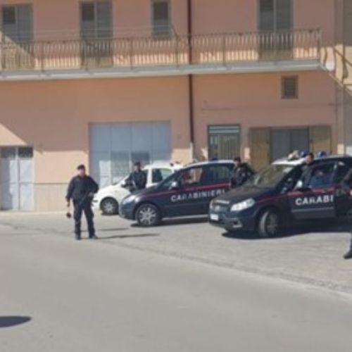 Barrafranca, Valguarnera. Controlli anti droga e per la ricerca armi con le unità cinofile nella giurisdizione della Compagnia di Piazza Armerina.