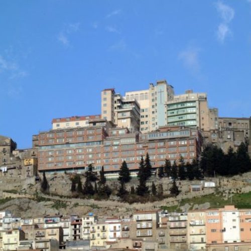 L’ISTITUTO È NUOVAMENTE COVID FREE