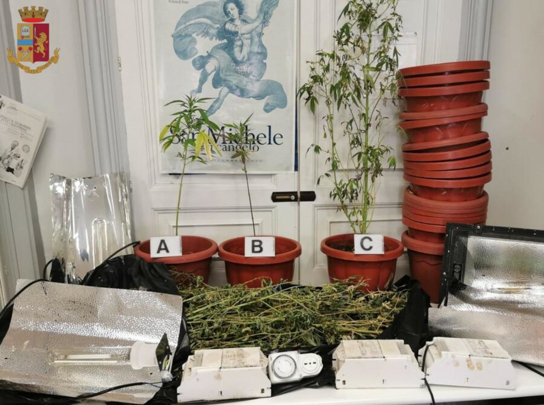 Leonforte. La Polizia di Stato denuncia un giovane leonfortese per coltivazione di cannabis.