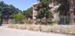 pietraperzia verde