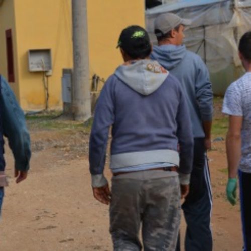 Enna. Impiegava cinque stranieri, “lavoravano in nero” deferito alla magistratura imprenditore agricolo  e un intermediario per reclutamento illegale dei lavoratori.