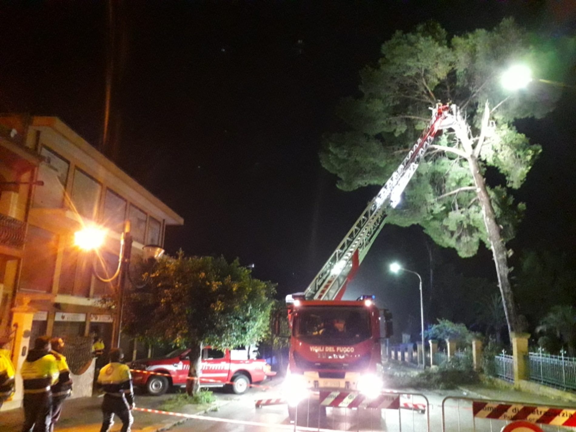 PIETRAPERZIA. Il vento spezza un grosso ramo che invade la sede stradale.