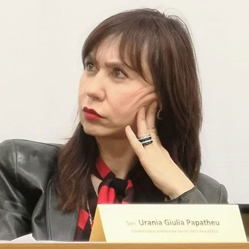 ROMA. Recovery Plan: Ripartire dal Sud e dal Mediterraneo. La senatrice Papatheu (FI) lancia un progetto di integrazione economica e sociale con i Paesi del Mediterraneo.