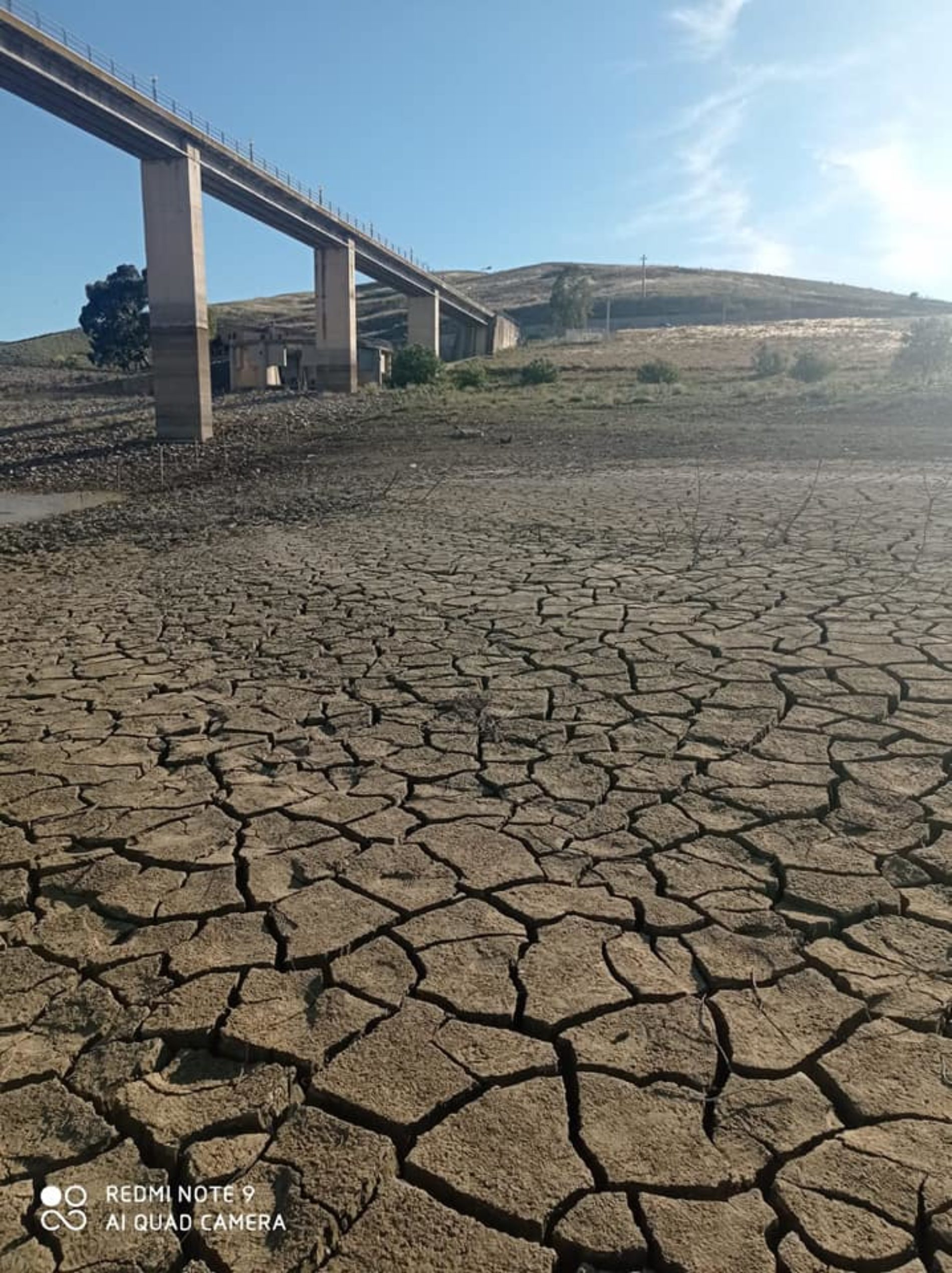 DISASTRO AMBIENTALE ALLA DIGA SCIAGUANA: DOPO LA REGIONE ADESSO ANCHE LA PREFETTURA DI ENNA APRE UN’INDAGINE
