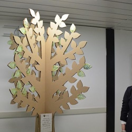 ASP Enna. “L’albero delle idee” presso il reparto di Oncologia