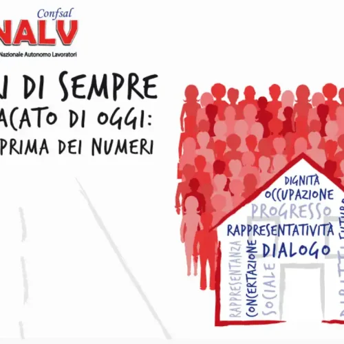 Assemblea sindacale Snalv Confsal, “Stabilizzare i lavoratori del reddito minimo”.
