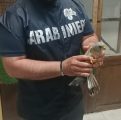 IMG-20220526-WA0008