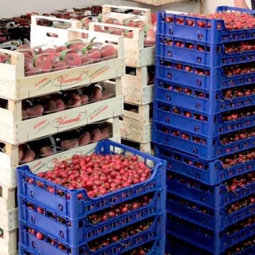GDF  CALTANISSETTA..  Sequestrati  oltre 800 Kg  di  prodotti  ortofrutticoli  commercializzati  abusivamente.