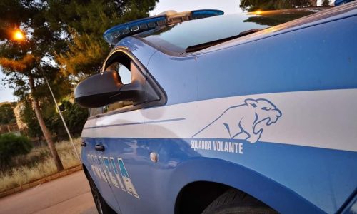 ENNA.La Polizia di Stato denuncia due giovani fratelli per produzione, detenzione illecita e spaccio di sostanze stupefacenti.