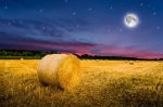 Notte Agricoltura